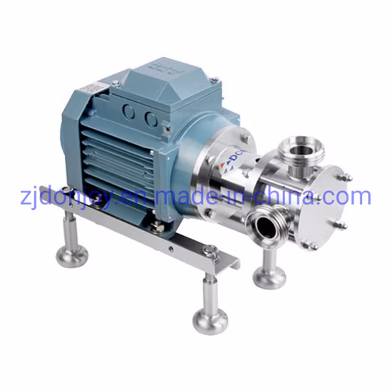 Flexible FKM Impeller Stainless Steel 316L Water Pump DIN Threaded