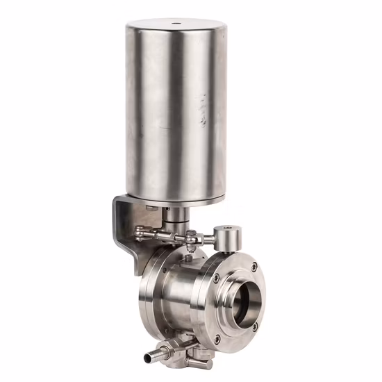 Stainless Steel Sanitary Double Seat Mix Proof Valves