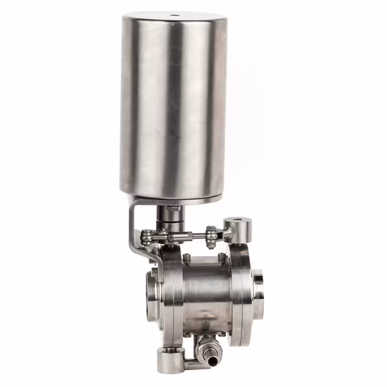 Stainless Steel SS316L Sanitary 24V Double Seat Mix-Proof Valve