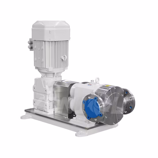 Sanitary Stainless Steel Food and Honey Rotary Chocolate Transfer Lobe Rotor Pump